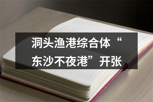 洞头渔港综合体“东沙不夜港”开张