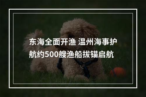 东海全面开渔 温州海事护航约500艘渔船拔锚启航