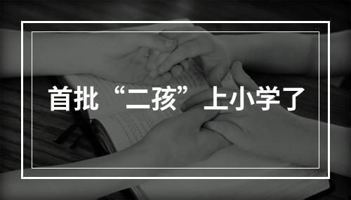 首批“二孩”上小学了