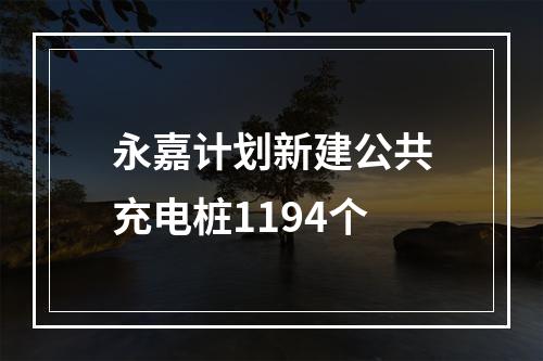 永嘉计划新建公共充电桩1194个
