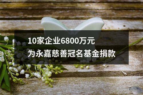 10家企业6800万元 为永嘉慈善冠名基金捐款