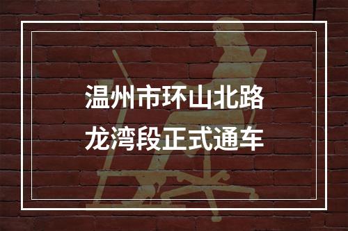 温州市环山北路龙湾段正式通车