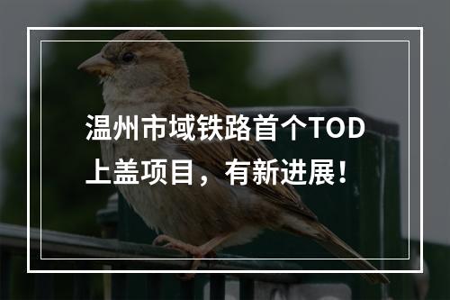 温州市域铁路首个TOD上盖项目，有新进展！