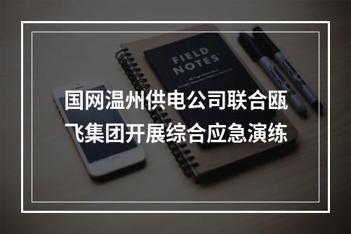 国网温州供电公司联合瓯飞集团开展综合应急演练