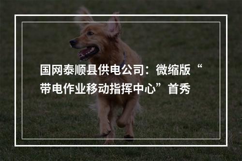 国网泰顺县供电公司：微缩版“带电作业移动指挥中心”首秀