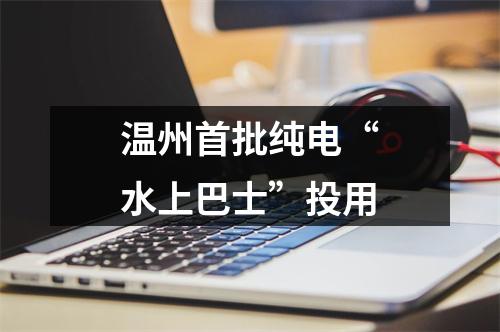 温州首批纯电“水上巴士”投用