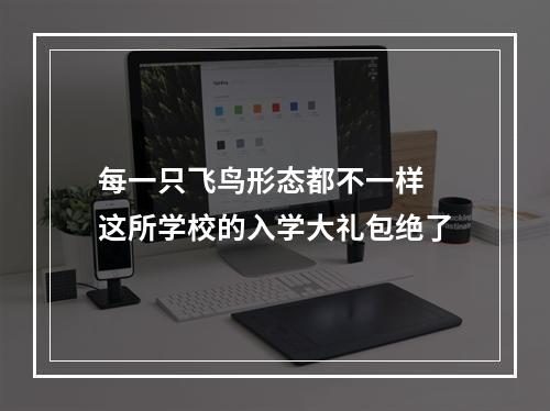 每一只飞鸟形态都不一样 这所学校的入学大礼包绝了