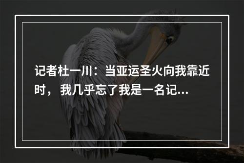记者杜一川：当亚运圣火向我靠近时， 我几乎忘了我是一名记者