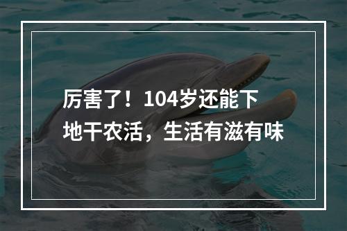 厉害了！104岁还能下地干农活，生活有滋有味