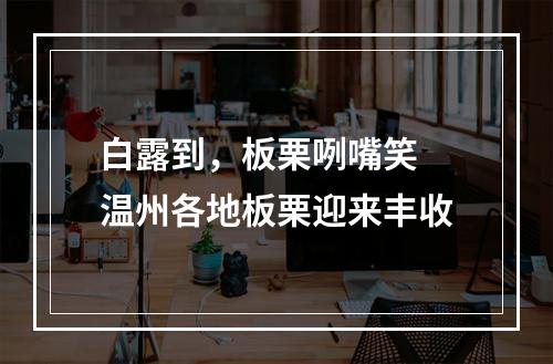 白露到，板栗咧嘴笑 温州各地板栗迎来丰收