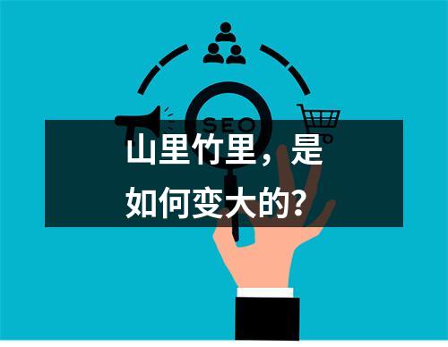 山里竹里，是如何变大的？