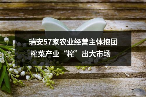 瑞安57家农业经营主体抱团 榨菜产业“榨”出大市场