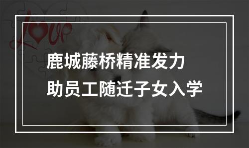 鹿城藤桥精准发力 助员工随迁子女入学