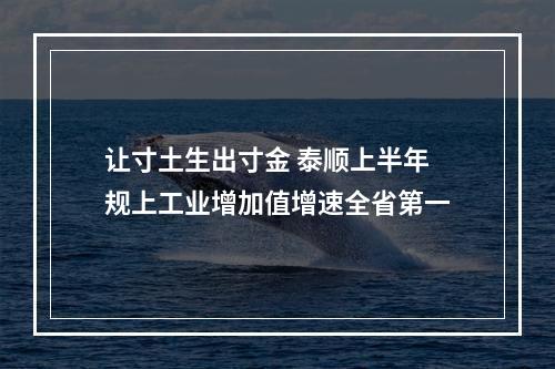 让寸土生出寸金 泰顺上半年规上工业增加值增速全省第一