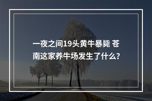 一夜之间19头黄牛暴毙 苍南这家养牛场发生了什么？