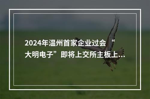 2024年温州首家企业过会 “大明电子”即将上交所主板上市