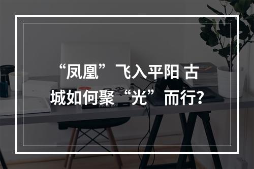 “凤凰”飞入平阳 古城如何聚“光”而行？
