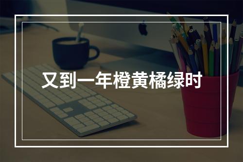 又到一年橙黄橘绿时