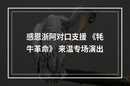 感恩浙阿对口支援 《牦牛革命》 来温专场演出
