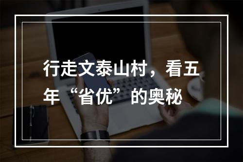 行走文泰山村，看五年“省优”的奥秘