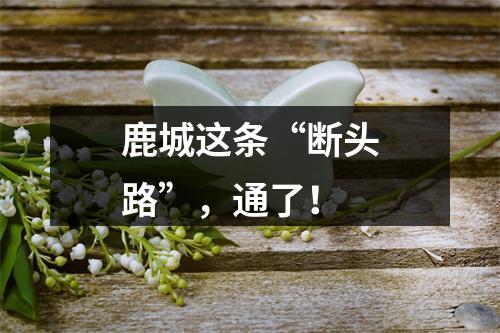 鹿城这条“断头路”，通了！