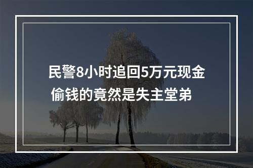 民警8小时追回5万元现金 偷钱的竟然是失主堂弟