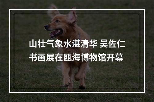 山壮气象水湛清华 吴佐仁书画展在瓯海博物馆开幕