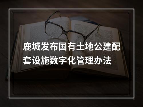 鹿城发布国有土地公建配套设施数字化管理办法
