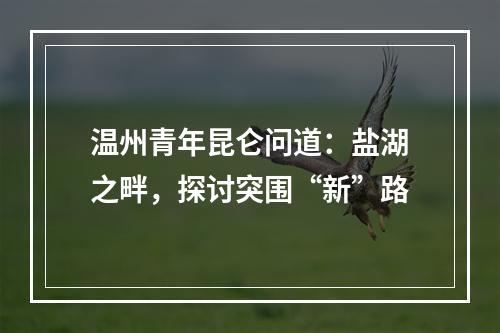温州青年昆仑问道：盐湖之畔，探讨突围“新”路