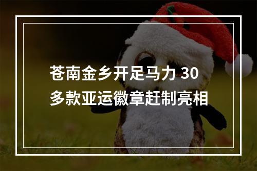 苍南金乡开足马力 30多款亚运徽章赶制亮相