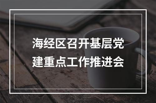 海经区召开基层党建重点工作推进会