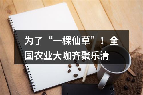 为了“一棵仙草”！全国农业大咖齐聚乐清