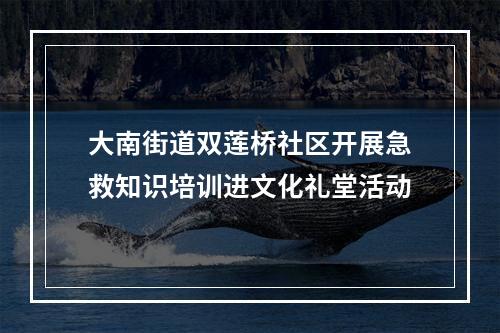 大南街道双莲桥社区开展急救知识培训进文化礼堂活动