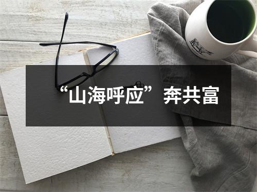 “山海呼应”奔共富