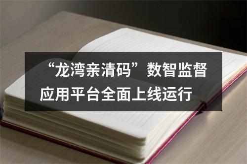 “龙湾亲清码”数智监督应用平台全面上线运行