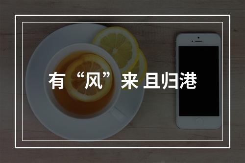 有“风”来 且归港