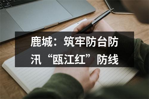 鹿城：筑牢防台防汛“瓯江红”防线