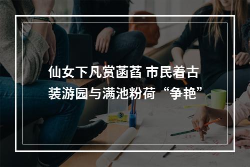 仙女下凡赏菡萏 市民着古装游园与满池粉荷“争艳”