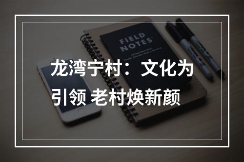 龙湾宁村：文化为引领 老村焕新颜