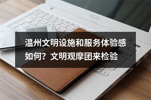 温州文明设施和服务体验感如何？文明观摩团来检验