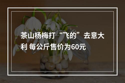 茶山杨梅打“飞的”去意大利 每公斤售价为60元