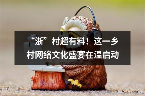 “浙”村超有料！这一乡村网络文化盛宴在温启动