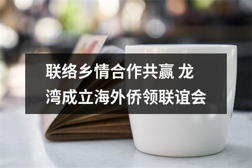 联络乡情合作共赢 龙湾成立海外侨领联谊会