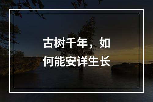 古树千年，如何能安详生长