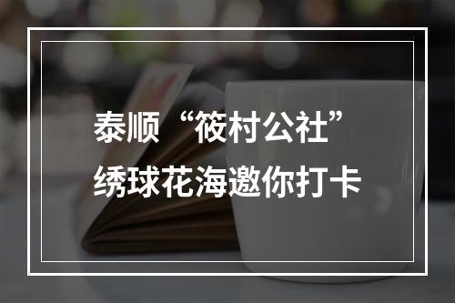 泰顺“筱村公社”绣球花海邀你打卡