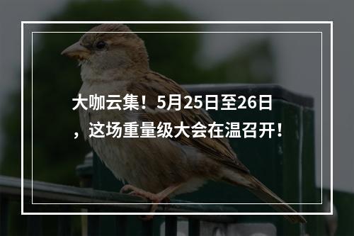 大咖云集！5月25日至26日，这场重量级大会在温召开！