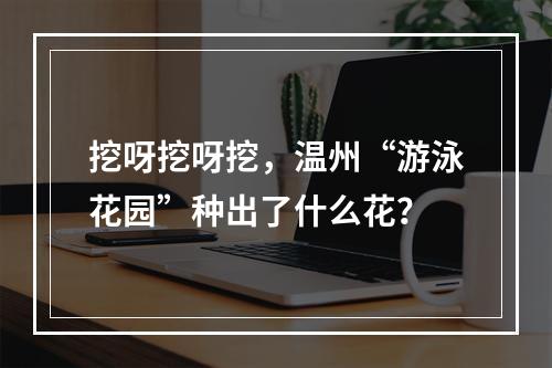 挖呀挖呀挖，温州“游泳花园”种出了什么花？