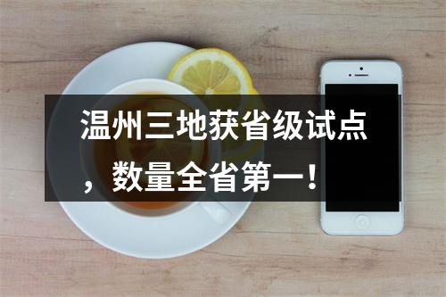 温州三地获省级试点，数量全省第一！