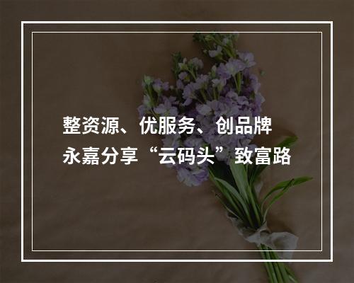 整资源、优服务、创品牌 永嘉分享“云码头”致富路