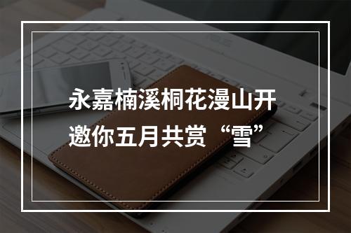 永嘉楠溪桐花漫山开 邀你五月共赏“雪”